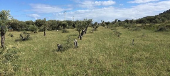 استوديو في Messina, Italy رقم 145953 40