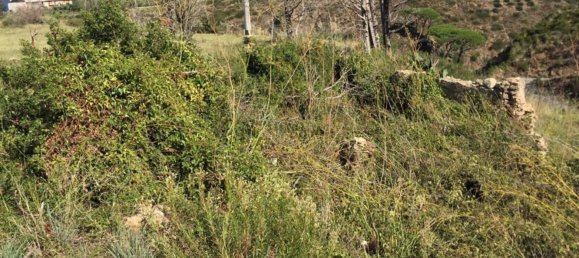 استوديو في Messina, Italy رقم 145953 41