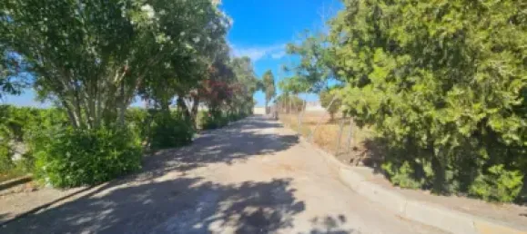 4 bedrooms House in Sanlucar de Barrameda, Spain No. 170622 9