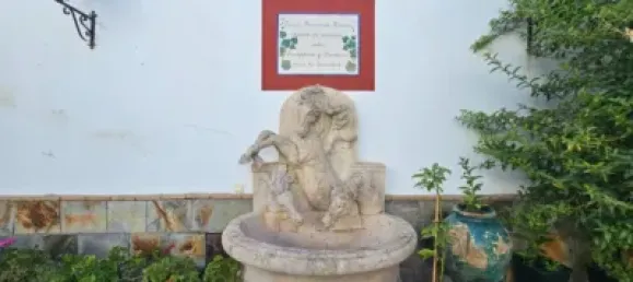 4 bedrooms House in Sanlucar de Barrameda, Spain No. 170622 16