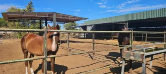 4 bedrooms House in Sanlucar de Barrameda, Spain No. 170622 27