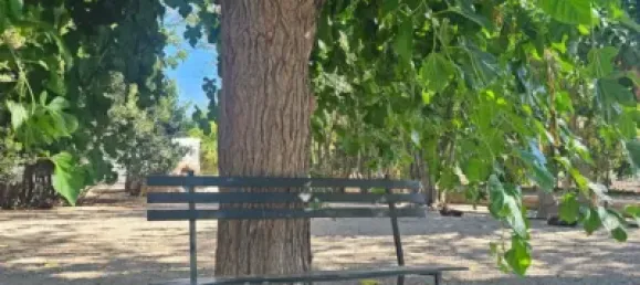 4 bedrooms House in Sanlucar de Barrameda, Spain No. 170622 32