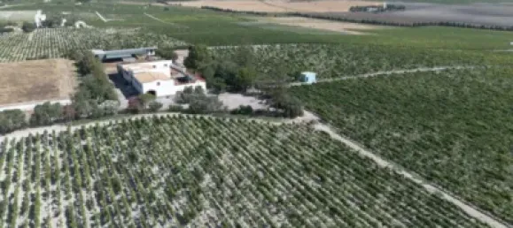 4 bedrooms House in Sanlucar de Barrameda, Spain No. 170622 7