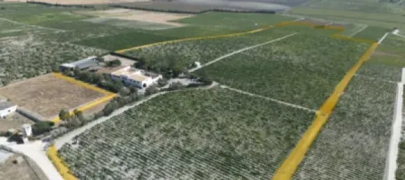 4 bedrooms House in Sanlucar de Barrameda, Spain No. 170622 6