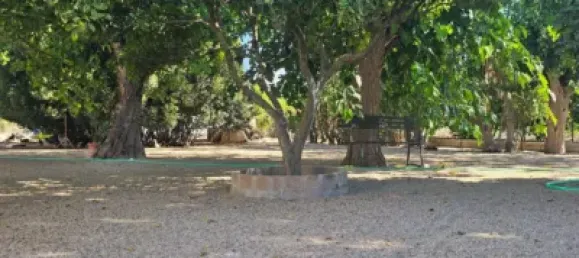 4 bedrooms House in Sanlucar de Barrameda, Spain No. 170622 34