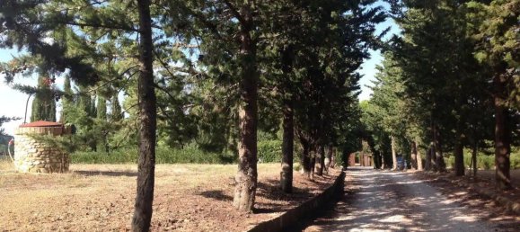 20-salle Maison à Barberino Tavarnelle, Italy No. 192545 12