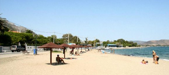 Propiedad comercial de 3 dormitorios en Marathon, Greece No. 6252 18