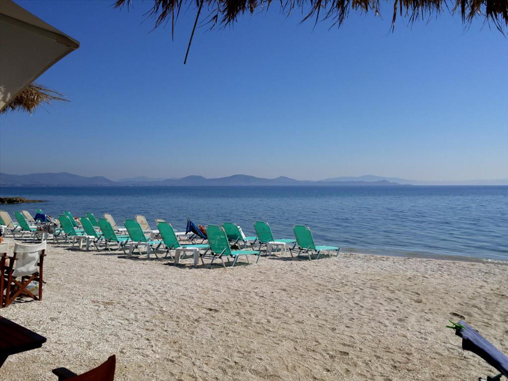 Propiedad comercial de 3 dormitorios en Marathon, Greece No. 6252