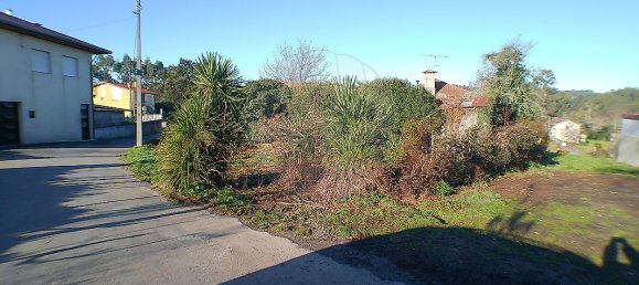 2 Schlafzimmer Haus in Santa Maria da Feira, Portugal, Nr. 37089 6