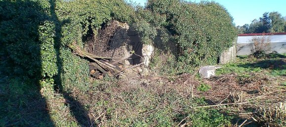 2 Schlafzimmer Haus in Santa Maria da Feira, Portugal, Nr. 37089 17