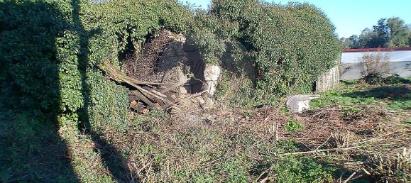 2 Schlafzimmer Haus in Santa Maria da Feira, Portugal, Nr. 37089 16