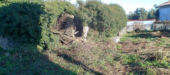 2 Schlafzimmer Haus in Santa Maria da Feira, Portugal, Nr. 37089 2