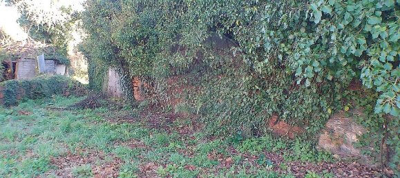 2 Schlafzimmer Haus in Santa Maria da Feira, Portugal, Nr. 37089 21