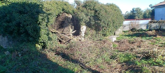 2 Schlafzimmer Haus in Santa Maria da Feira, Portugal, Nr. 37089 10