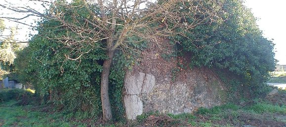 2 Schlafzimmer Haus in Santa Maria da Feira, Portugal, Nr. 37089 22