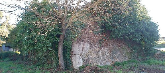 2 Schlafzimmer Haus in Santa Maria da Feira, Portugal, Nr. 37089 23