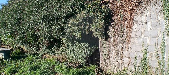 2 Schlafzimmer Haus in Santa Maria da Feira, Portugal, Nr. 37089 29