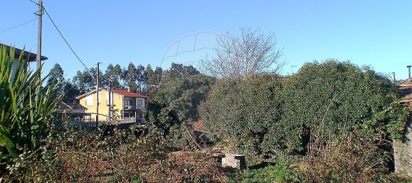 2 Schlafzimmer Haus in Santa Maria da Feira, Portugal, Nr. 37089 4