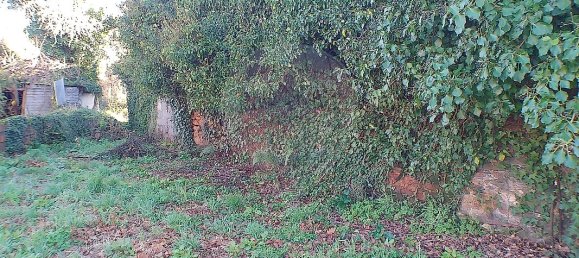 2 Schlafzimmer Haus in Santa Maria da Feira, Portugal, Nr. 37089 20