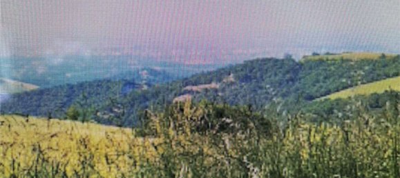 4800m² Land in Vezzano sul Crostolo, Italy No. 125106 11