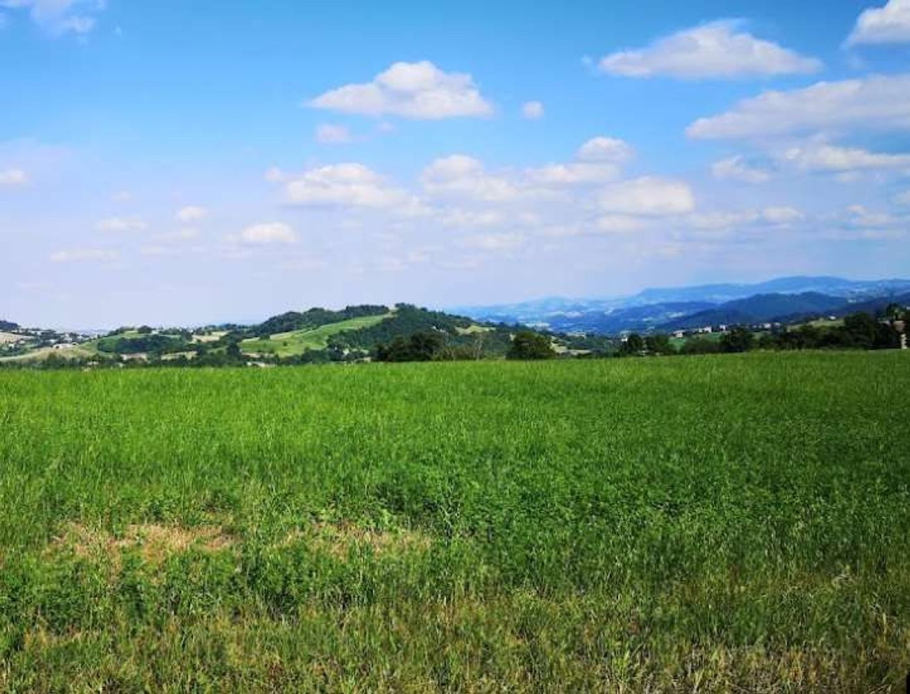 4800m² Land in Vezzano sul Crostolo, Italy No. 125106