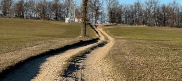 4800m² Land in Vezzano sul Crostolo, Italy No. 125106 9