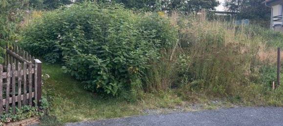  قطعة أرض في Vogtlandkreis, Germany رقم 315452 4