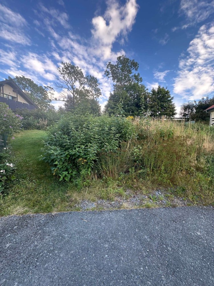  قطعة أرض في Vogtlandkreis, Germany رقم 315452