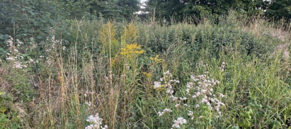  قطعة أرض في Vogtlandkreis, Germany رقم 315452 2