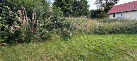  قطعة أرض في Vogtlandkreis, Germany رقم 315452 3