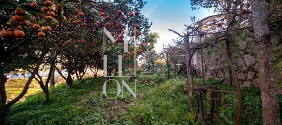 Casa de 5 dormitorios en Avintes, Portugal No. 38091 10