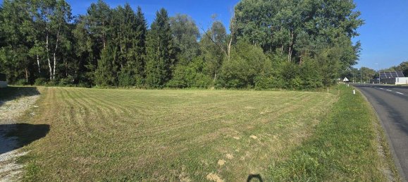  Land in Neudau, Austria No. 244640 7
