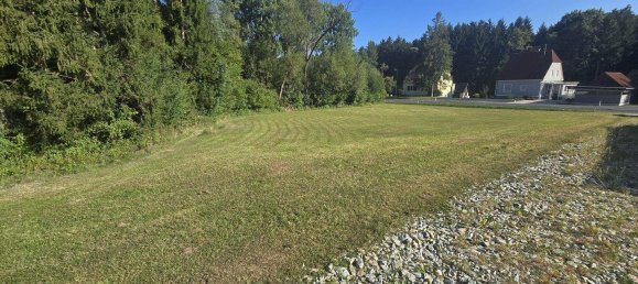  Land in Neudau, Austria No. 244640 2