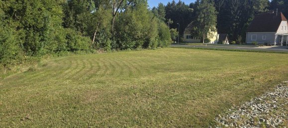  Land in Neudau, Austria No. 244640 3