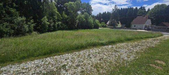  Land in Neudau, Austria No. 244640 5