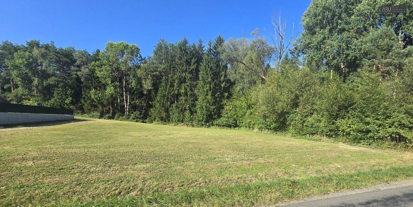  Land in Neudau, Austria No. 244640