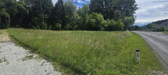  Land in Neudau, Austria No. 244640 4