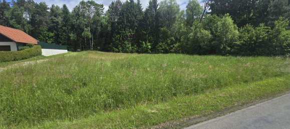  Land in Neudau, Austria No. 244640 6