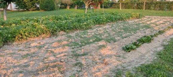 12غرفة منزل في Breda di Piave, Italy رقم 188234 6