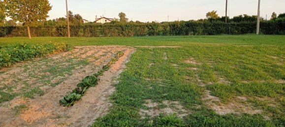 12غرفة منزل في Breda di Piave, Italy رقم 188234 3