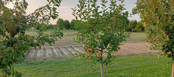 12غرفة منزل في Breda di Piave, Italy رقم 188234 4