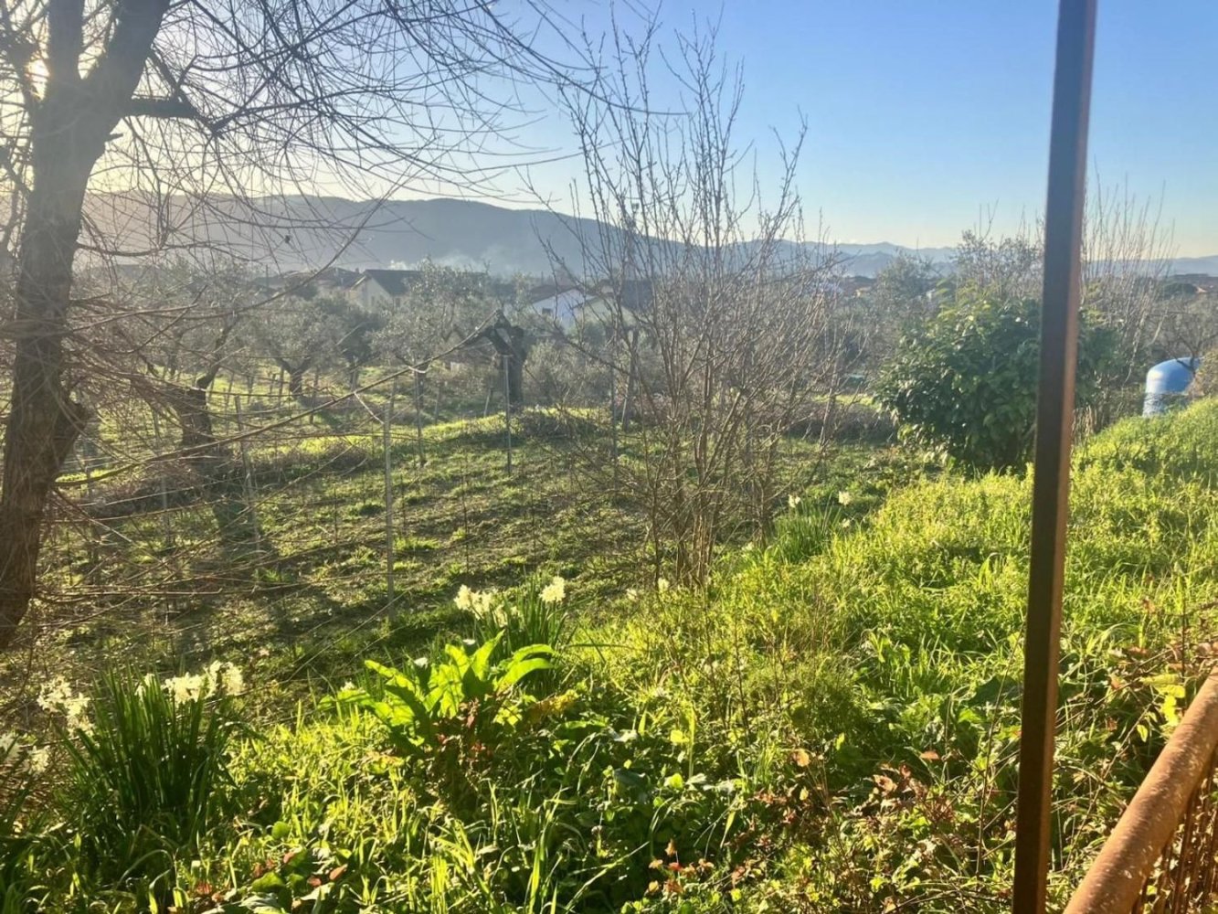 6-salle Maison à Castelnuovo Magra, Italy No. 30089