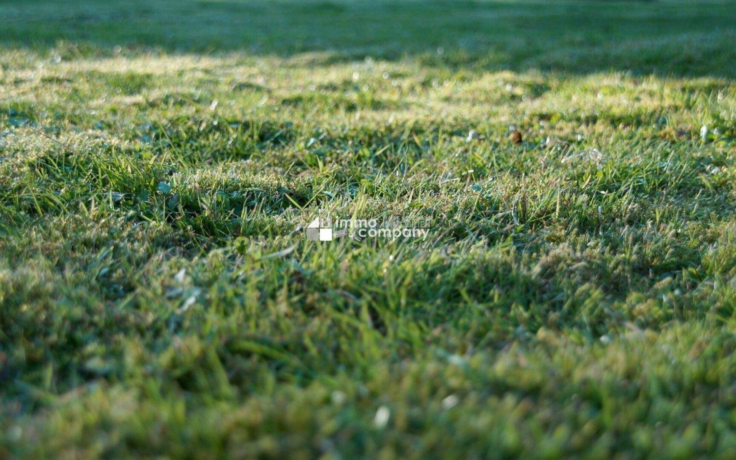 Земельный участок 894м² в Герасдорф бай Вин, Австрия № 62966