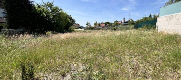  Land in Kirchberg bei Mattighofen, Austria No. 248384 8