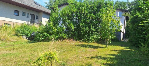 3-salle Bungalow à Harmannsdorf, Austria No. 242245 14