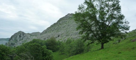 Grundstück in Cantabria, Spain 172m², Nr. 165878 8