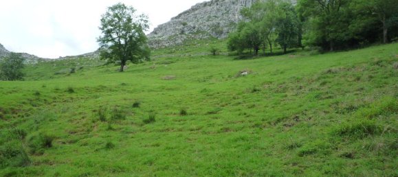 Grundstück in Cantabria, Spain 172m², Nr. 165878 2