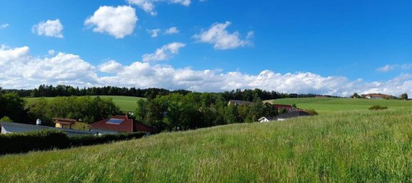 Terreno en Windhaag bei Perg, Austria No. 96725 2