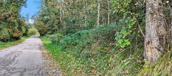 5 rooms Villa in Brentonico, Italy No. 203775 3