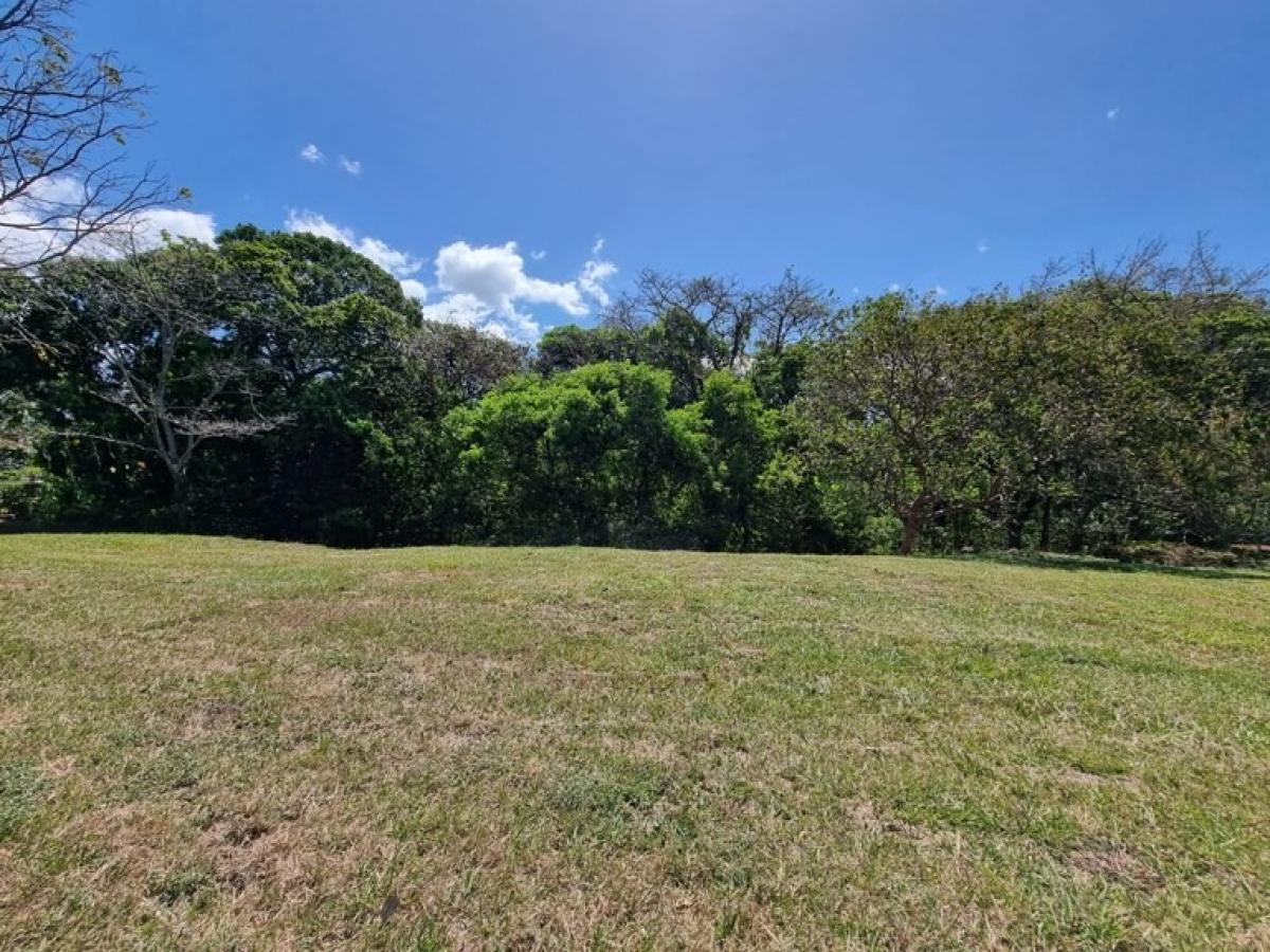 terreno en venta en Alajuela, Costa Rica № 1728